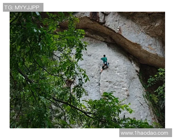 重庆攀岩队灵活性探讨：如何在攀岩运动中提升团队协作与应变能力