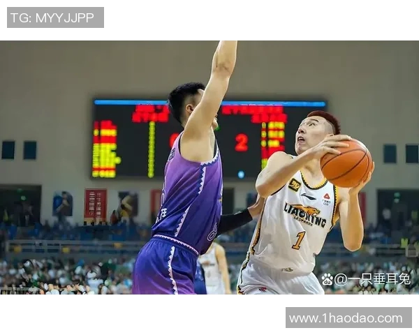 辽宁对阵北控精彩在线直播全程回顾与赛后分析